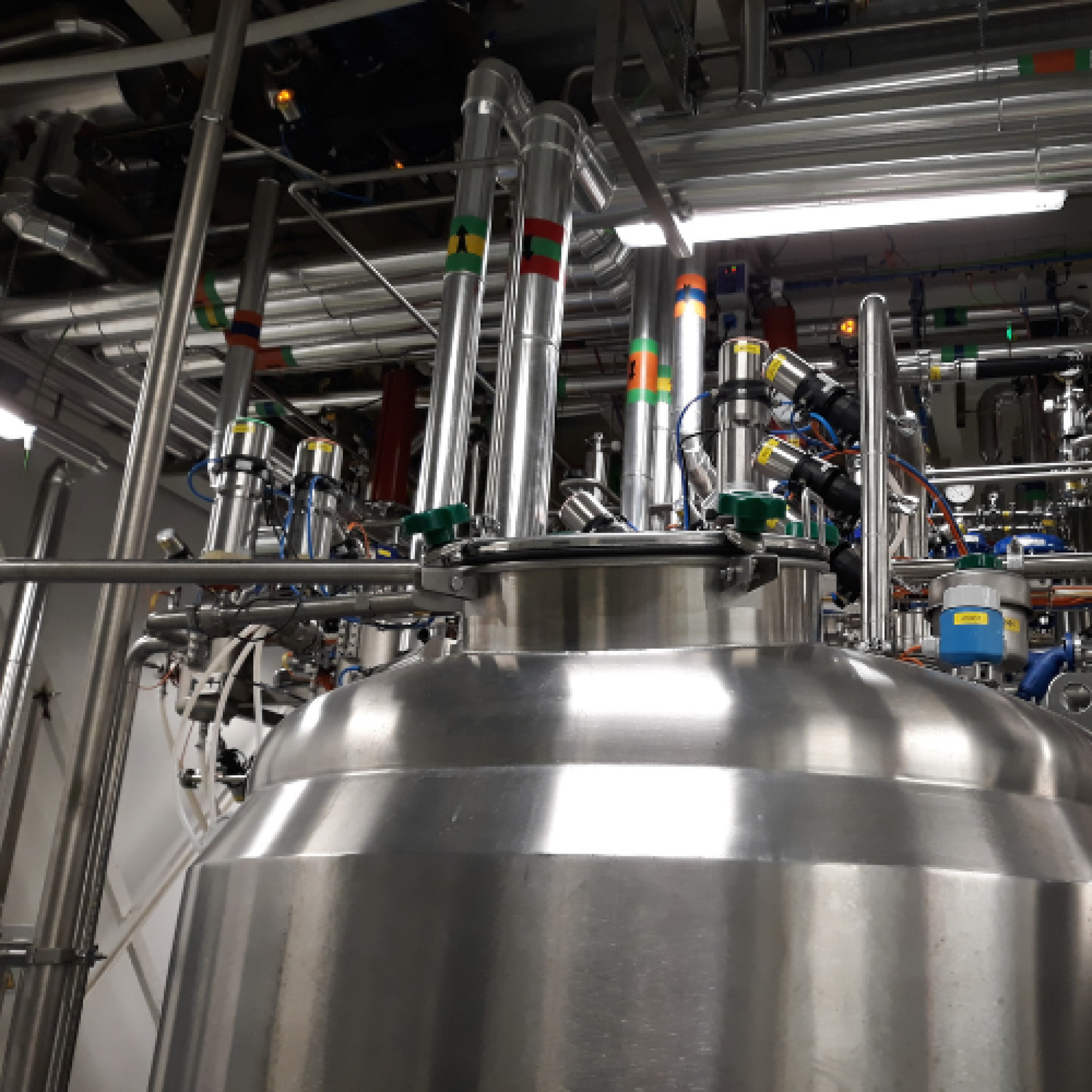 ultimos proyectos (11)